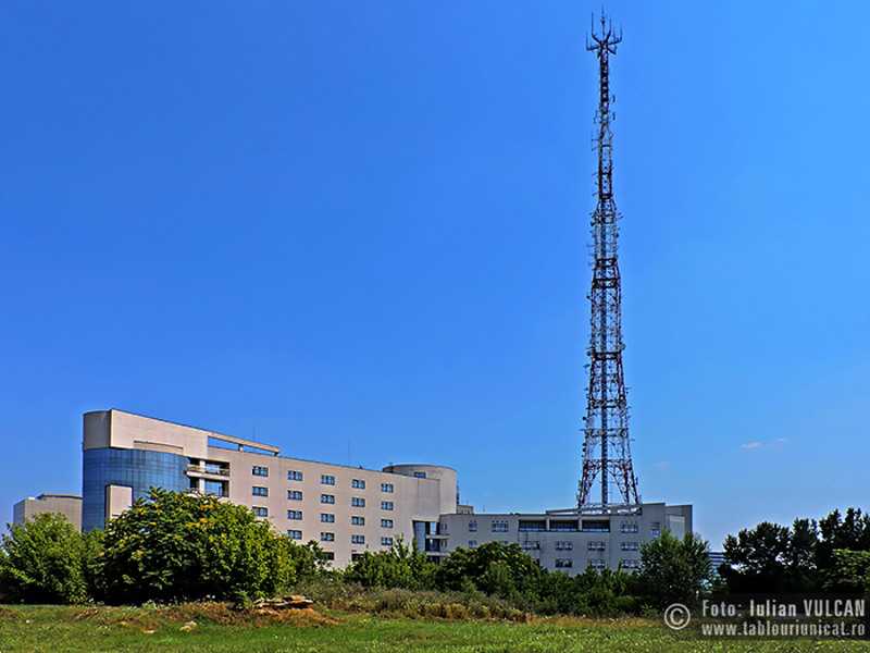 Iulian-VULCAN_www.tablouriunicat.ro_06