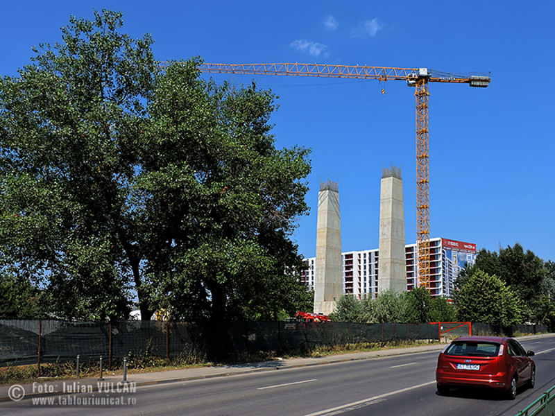 Iulian-VULCAN_www.tablouriunicat.ro_07