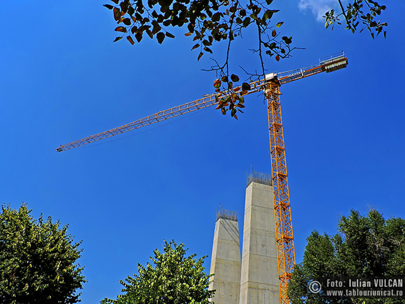 Iulian-VULCAN_www.tablouriunicat.ro_08