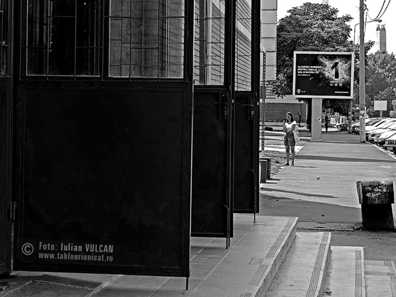 Iulian-VULCAN_www.tablouriunicat.ro_12