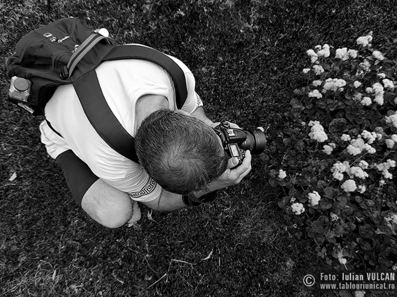 Iulian-VULCAN_www.tablouriunicat.ro_13