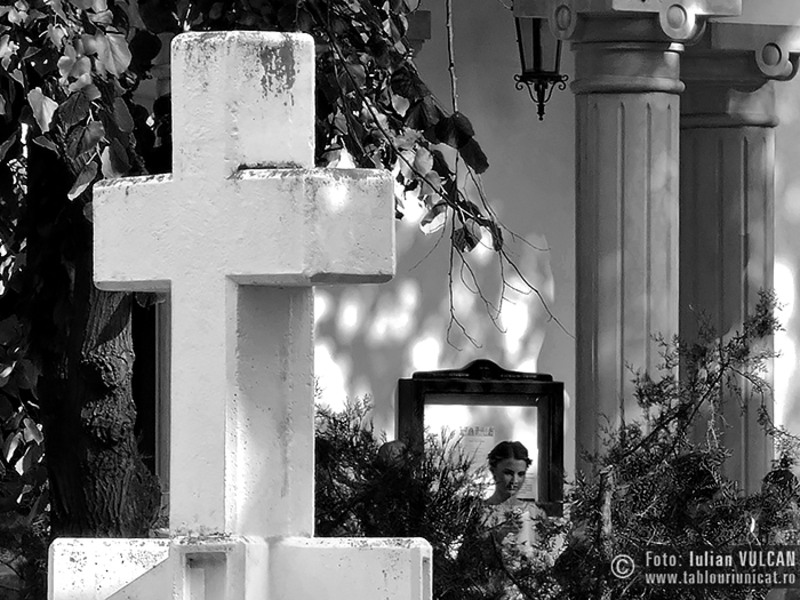 Iulian-VULCAN_www.tablouriunicat.ro_16