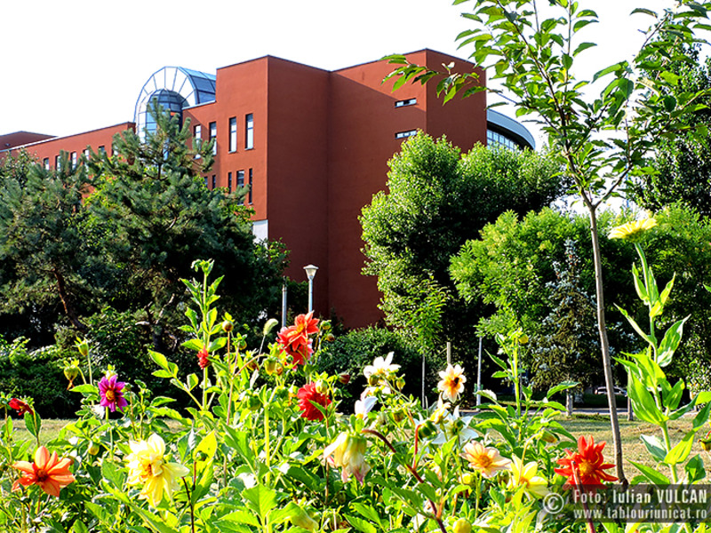 Iulian-VULCAN_www.tablouriunicat.ro_17