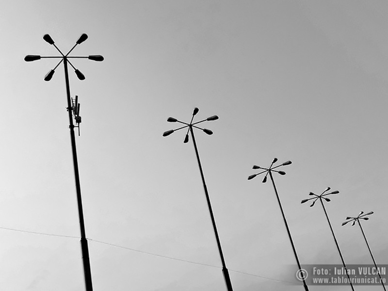 Iulian-VULCAN_www.tablouriunicat.ro_18