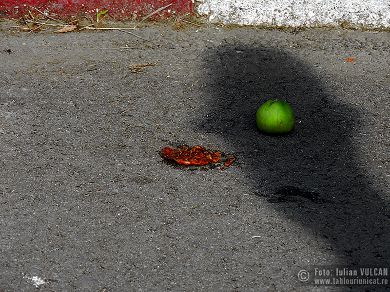 Iulian-VULCAN_www.tablouriunicat.ro_20