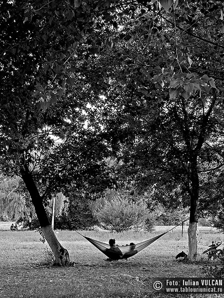 Iulian-VULCAN_www.tablouriunicat.ro_21