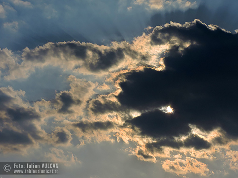 Iulian-VULCAN_www.tablouriunicat.ro_22