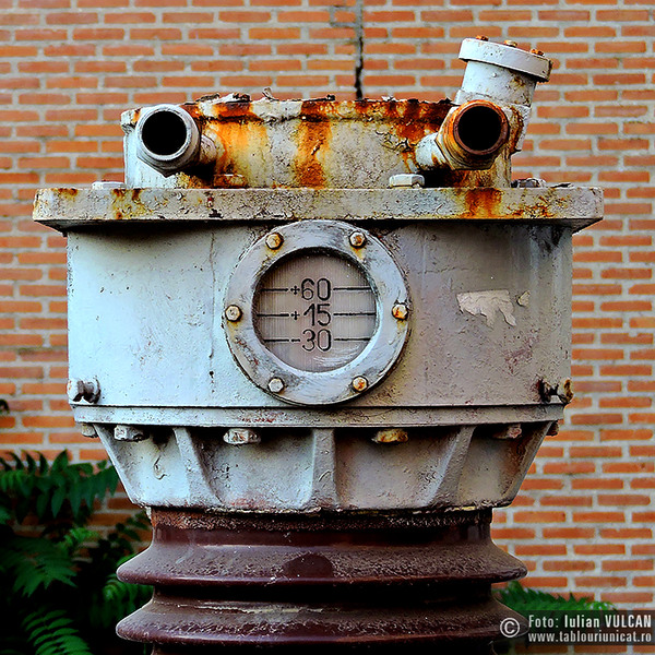 Iulian-VULCAN_www.tablouriunicat.ro_24