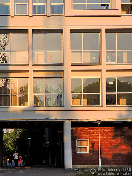 Iulian-VULCAN_www.tablouriunicat.ro_25