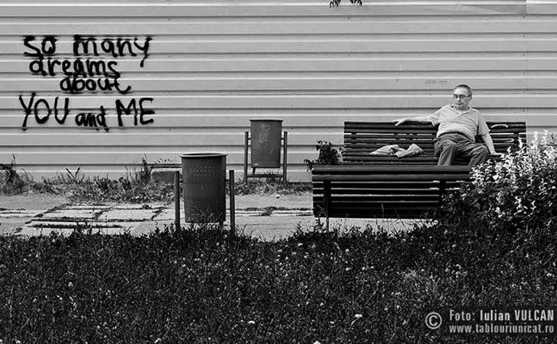 Iulian-VULCAN_www.tablouriunicat.ro_2