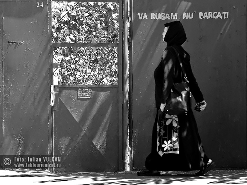 Iulian-VULCAN_www.tablouriunicat.ro_2