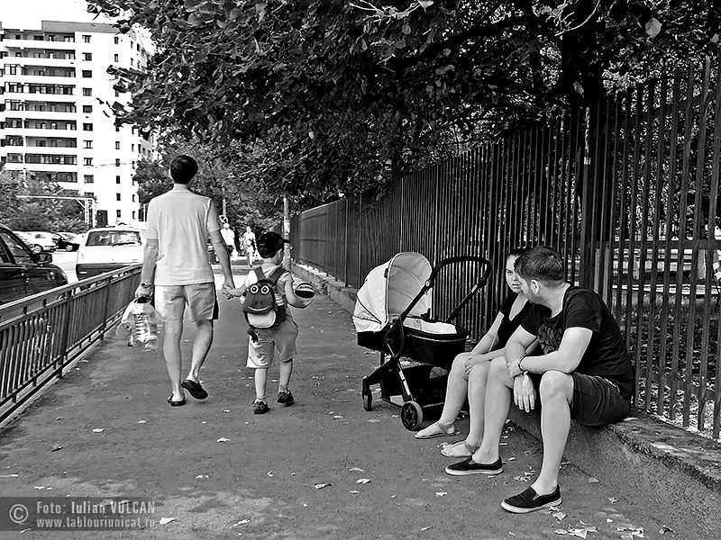 Iulian VULCAN - www.tablouriunicat.ro - 02