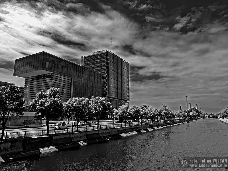 Iulian VULCAN - www.tablouriunicat.ro - 07