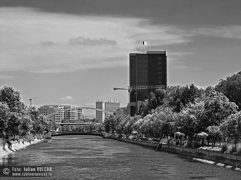 Iulian VULCAN - www.tablouriunicat.ro - 08