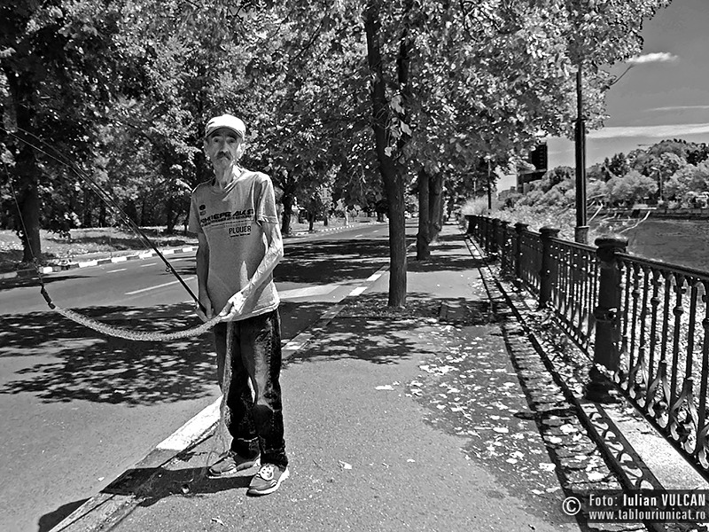 Iulian VULCAN - www.tablouriunicat.ro - 09