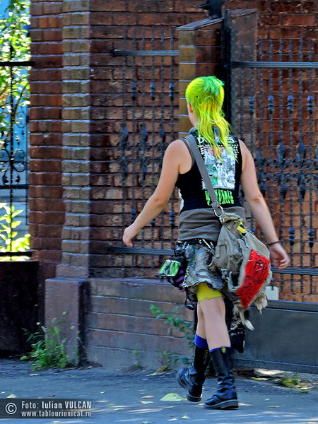 Iulian VULCAN - www.tablouriunicat.ro - 10