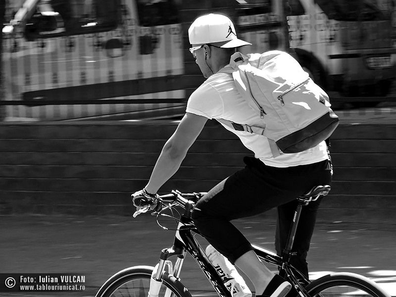 Iulian VULCAN - www.tablouriunicat.ro - 12