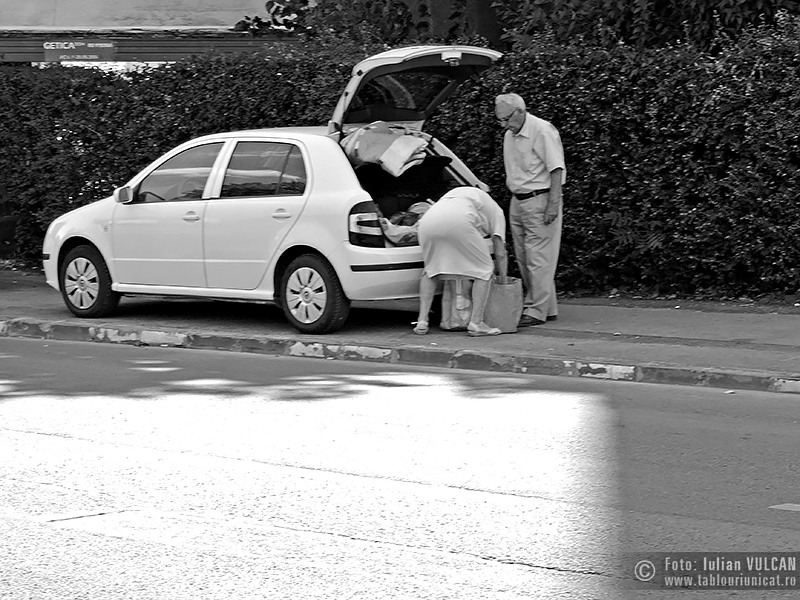 Iulian VULCAN - www.tablouriunicat.ro - 14