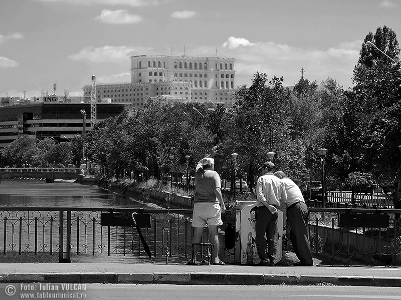 Iulian VULCAN - www.tablouriunicat.ro - 15