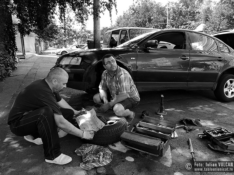 Iulian VULCAN - www.tablouriunicat.ro - 17