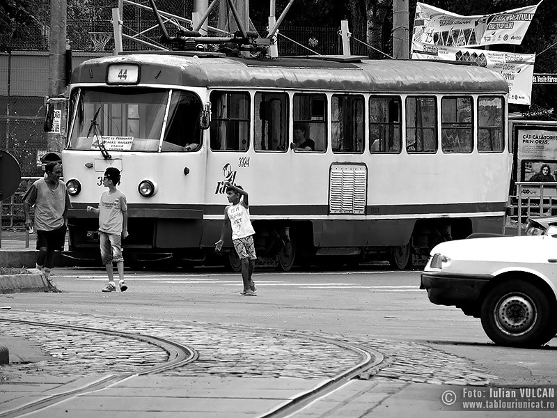 Iulian VULCAN - www.tablouriunicat.ro - 22