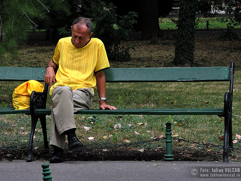 Iulian VULCAN - www.tablouriunicat.ro - 24