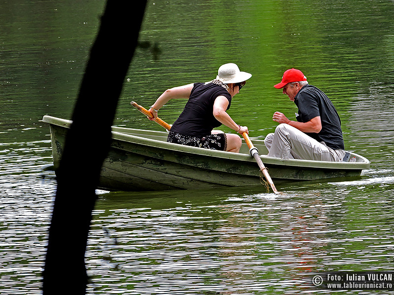 Iulian VULCAN - www.tablouriunicat.ro - 25