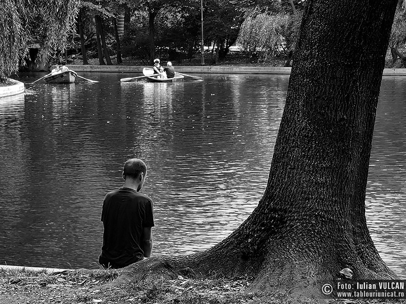 Iulian VULCAN - www.tablouriunicat.ro - 26