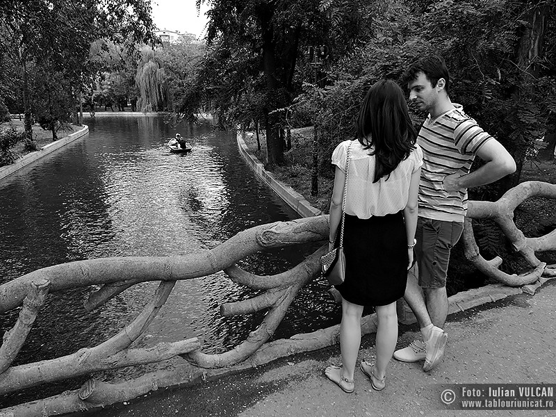 Iulian VULCAN - www.tablouriunicat.ro - 27