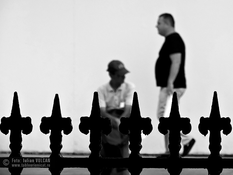 Iulian VULCAN - www.tablouriunicat.ro - 28