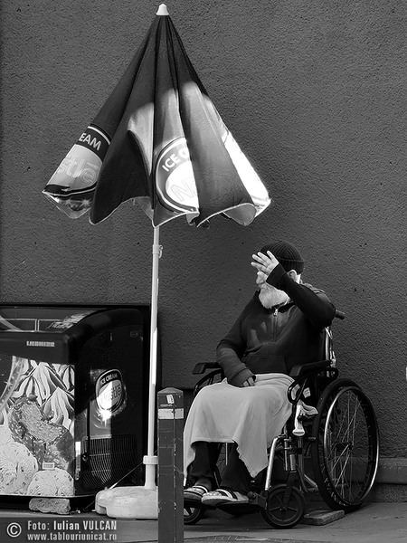 Iulian VULCAN - www.tablouriunicat.ro - 29