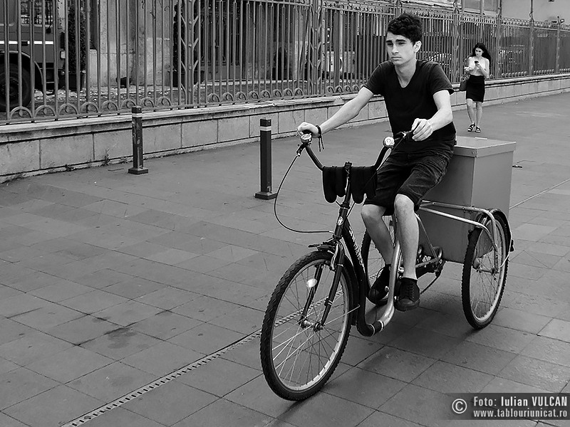 Iulian VULCAN - www.tablouriunicat.ro - 30