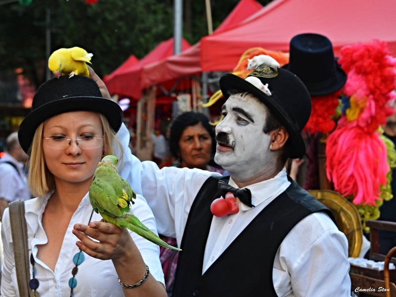 11807669_1010886715617663_845528628286863780_o