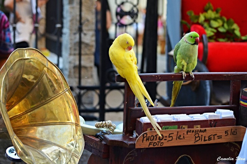 11834868_1010887938950874_2878880390027480483_o