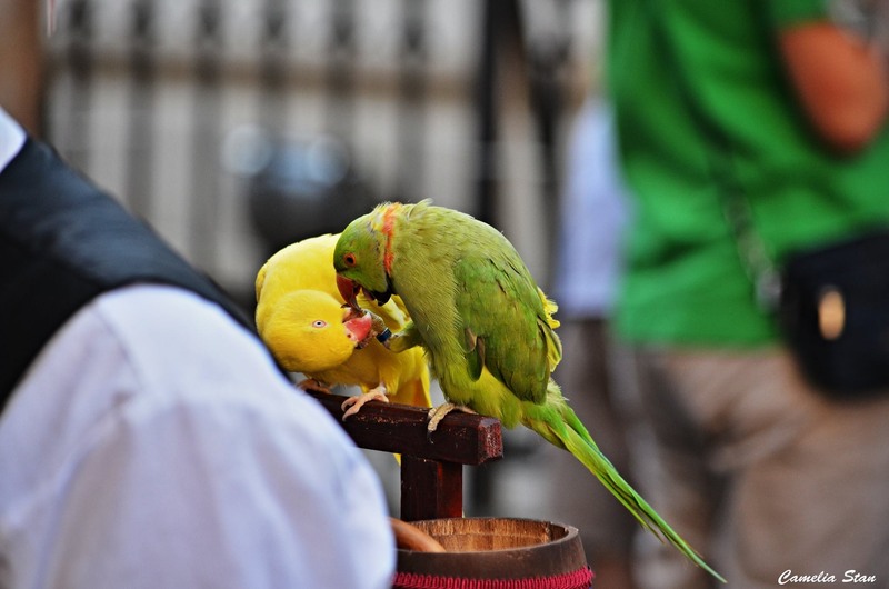 11838579_1010886652284336_7503516148319967170_o