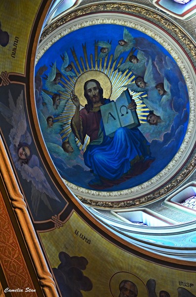 11838904_1010824108957257_4578879735570656646_o