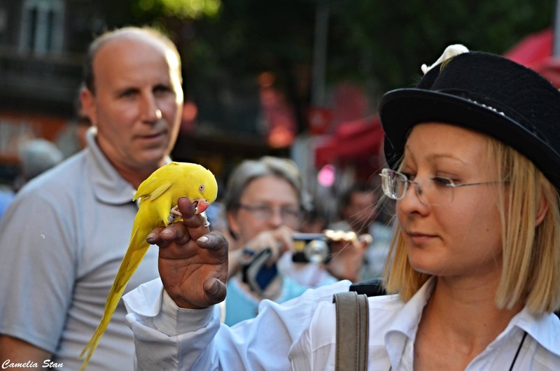 11844957_1010886718950996_3385365803325451814_o