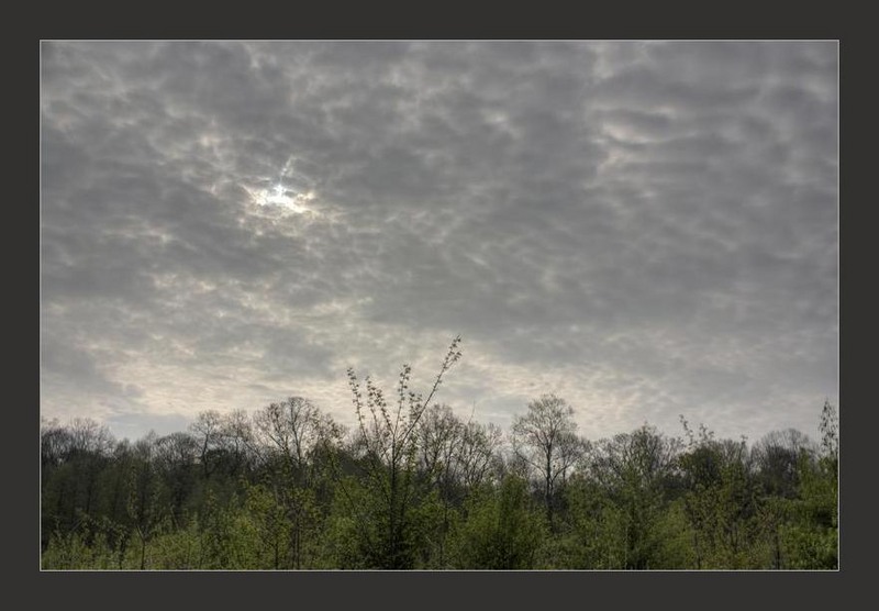 img_8433_4_5_tonemapped