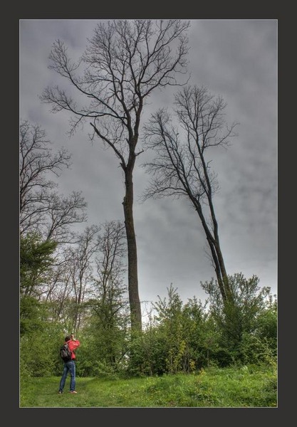 img_8442_3_4_tonemapped