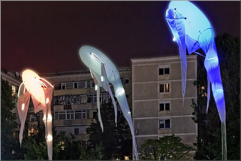 serbanvornicu_noaptea_alba-a_buc_07