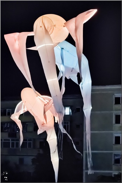 serbanvornicu_noaptea_alba-a_buc_08