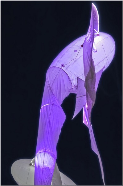 serbanvornicu_noaptea_alba-a_buc_10