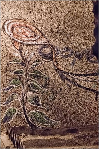 serbanvornicu_noaptea_caselor_24