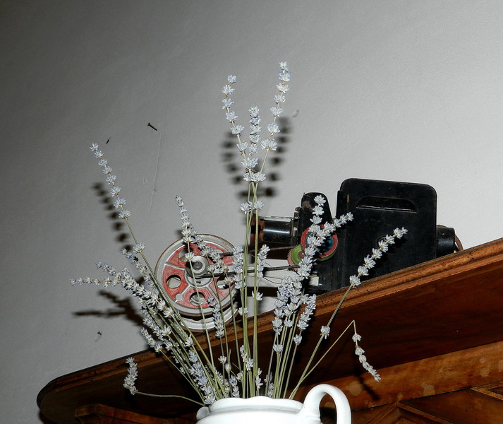 Casa Costa-Foru (Al. Dealul Mitropoliei nr.7)