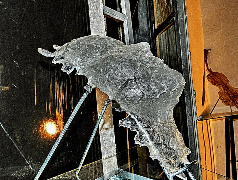 Gradina Sticlarilor (Str. Vasile Lascar nr.36)