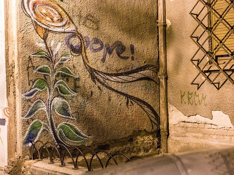 09-plante-si-lacat-_1000555