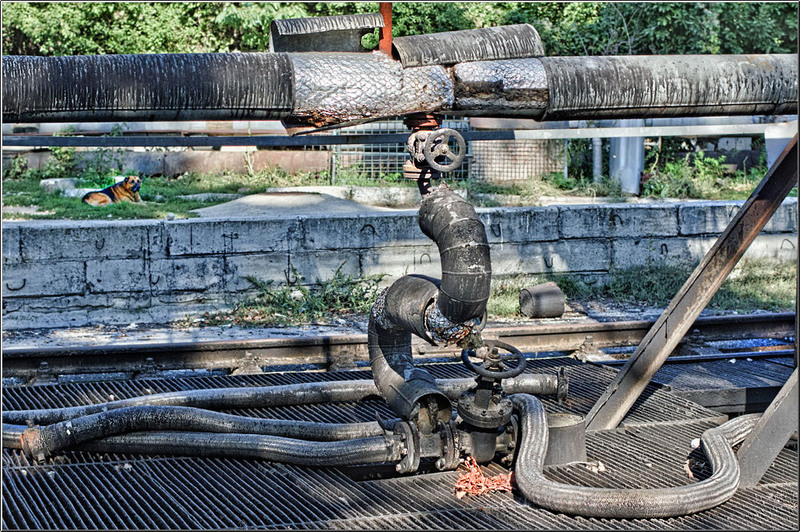 serbanvornicu_wphotowalk_10