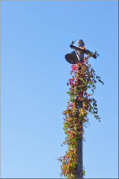 serbanvornicu_wphotowalk_15