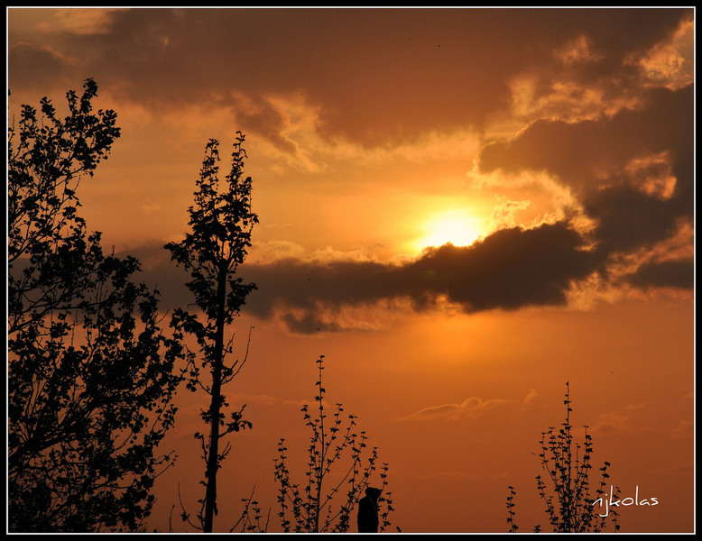 4564139270_4b92eea156_b