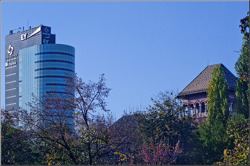 serbanvornicu_31oct_04